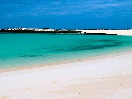 Mar Sea View Appartement *